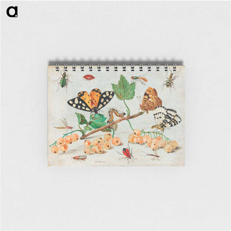 アートメモ帳-Insects and Fruits
 - ヤン ファン ケッセル Memo.