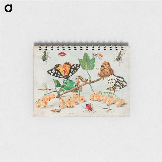 アートメモ帳-Insects and Fruits
 - ヤン ファン ケッセル Memo.