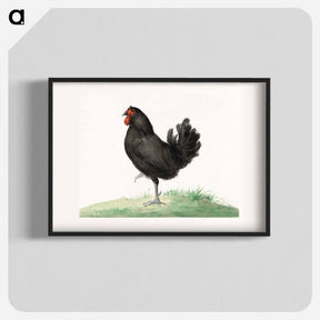アートポスター-Standing black chicken drawing in high resolution by Jean Bernard. - ジャン ベルナール Poster.