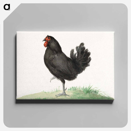 アートパネル-Standing black chicken drawing in high resolution by Jean Bernard. - ジャン ベルナール Canvas.