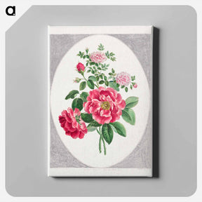 アートパネル-Damask Rose
 - ジョン エドワーズ Canvas.