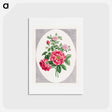 アートポストカード-Damask Rose
 - ジョン エドワーズ Postcard.