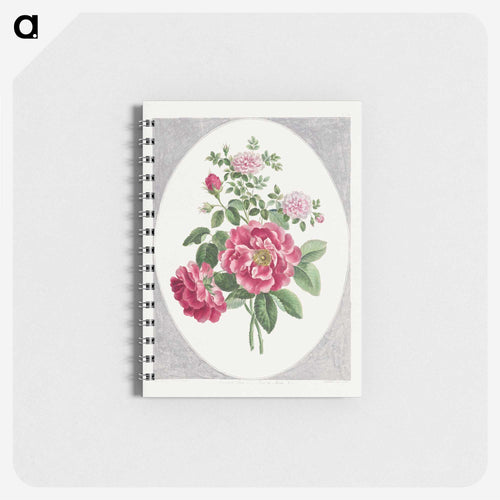 Damask Rose
 - ジョン エドワーズ Memo.