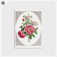 1-1_John-Edwards_postcard
