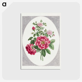 1-1_John-Edwards_postcard