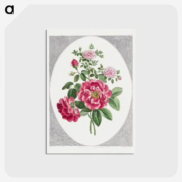 1-1_John-Edwards_postcard