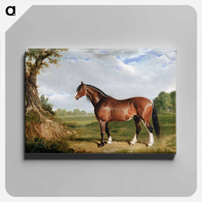 アートパネル-Clydesdale Stallion
 - ジョン フレデリック ヘリング Canvas.