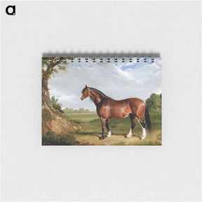 アートメモ帳-Clydesdale Stallion
 - ジョン フレデリック ヘリング Memo.