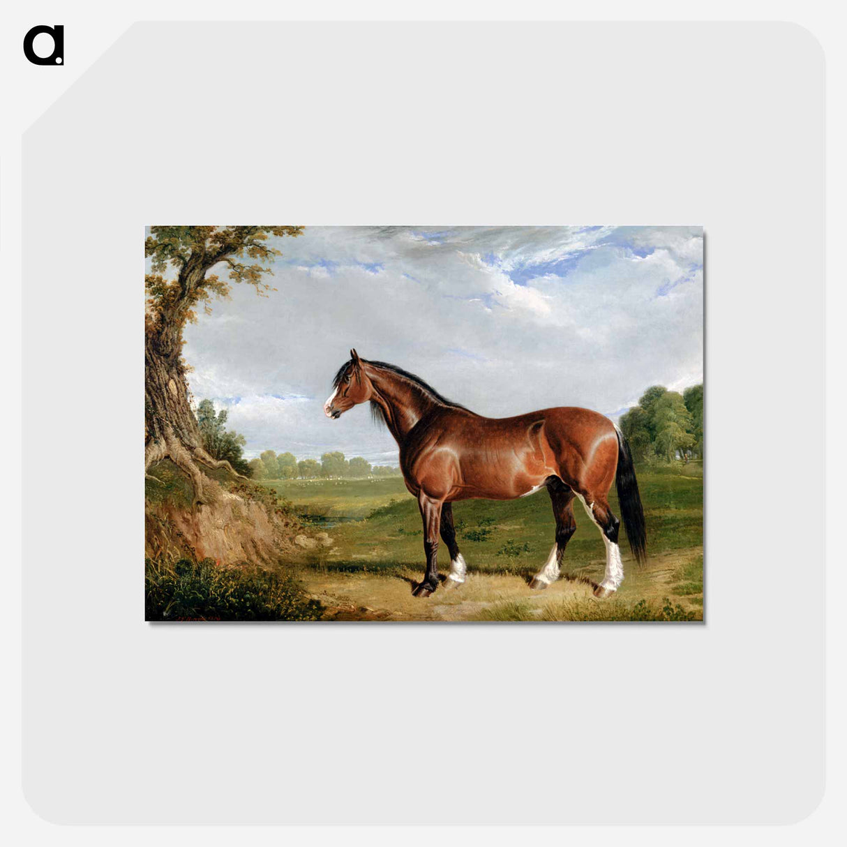 Clydesdale Stallion
 - ジョン フレデリック ヘリング Postcard.