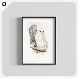 1-1_John-Gould_blk