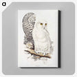 1-1_John-Gould_canvas