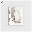 1-1_John-Gould_memo