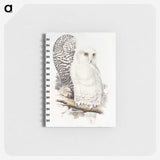 1-1_John-Gould_memo