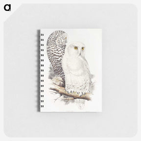 1-1_John-Gould_memo