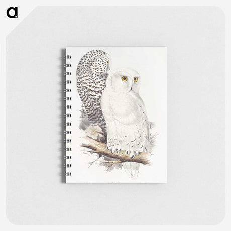 1-1_John-Gould_memo
