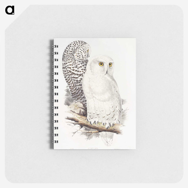 1-1_John-Gould_memo