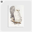 1-1_John-Gould_postcard