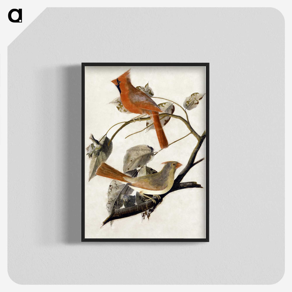 1-1_John-James-Audubon_blk-crop