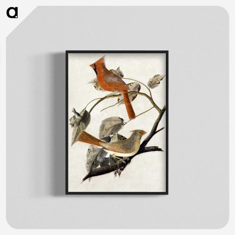 1-1_John-James-Audubon_blk-crop