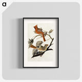 1-1_John-James-Audubon_blk