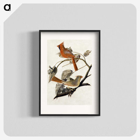 1-1_John-James-Audubon_blk