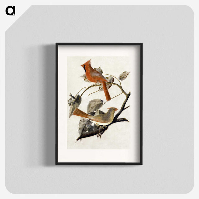 1-1_John-James-Audubon_blk