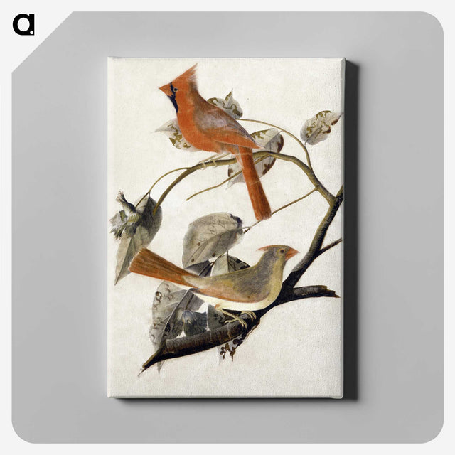 1-1_John-James-Audubon_canvas
