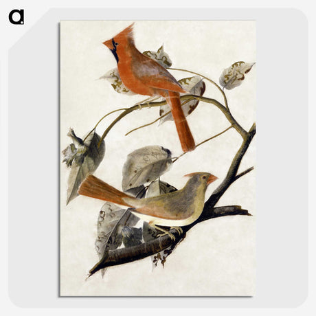 1-1_John-James-Audubon_picture-crop