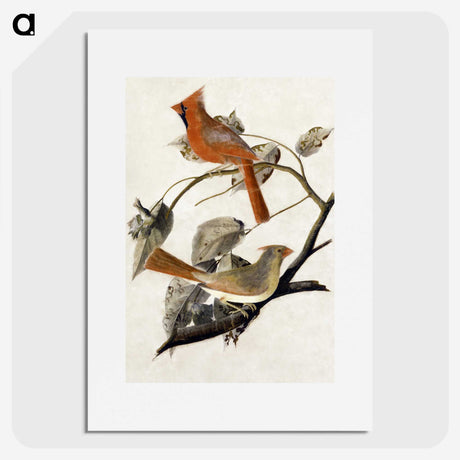 1-1_John-James-Audubon_picture