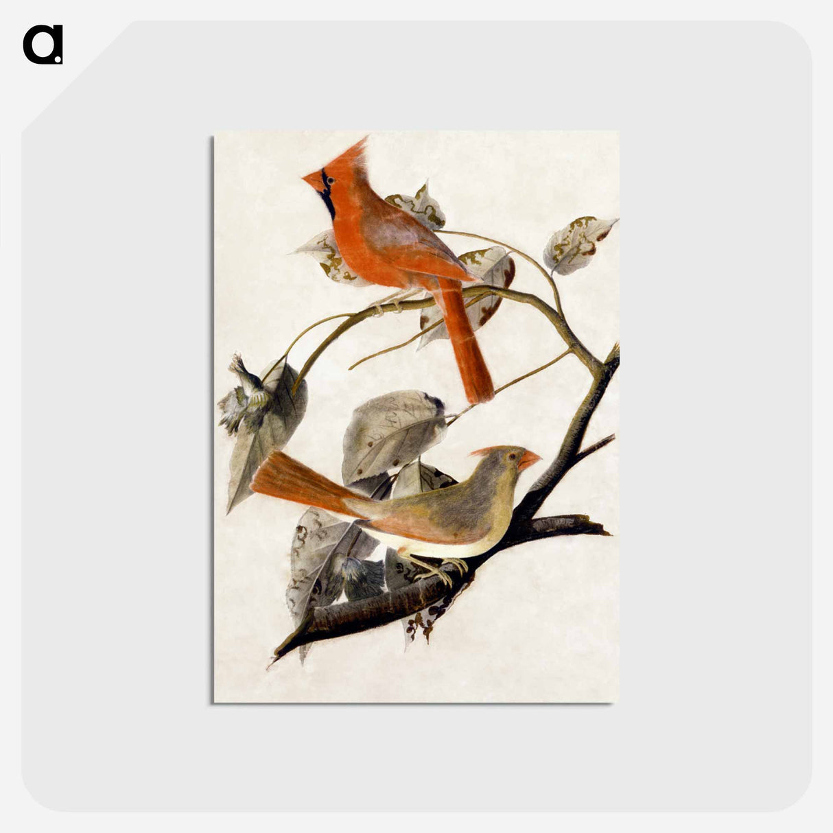 アートポストカード-Cardinal Grosbeak
 - ジョン ジェームス オーデュボン Postcard.