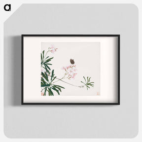 アートポスター-Insects and Flowers
 - ジュ リアン Poster.