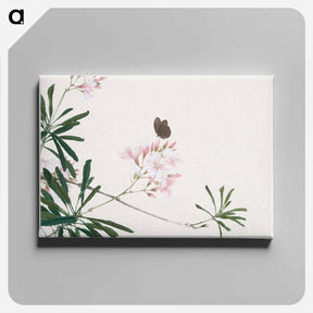 アートパネル-Insects and Flowers
 - ジュ リアン Canvas.
