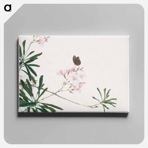 Insects and Flowers
 - ジュ リアン Canvas.