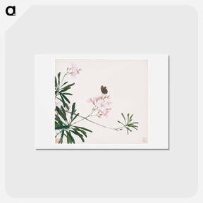 アートポストカード-Insects and Flowers
 - ジュ リアン Postcard.