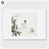1-1_Ju-Lian_picture