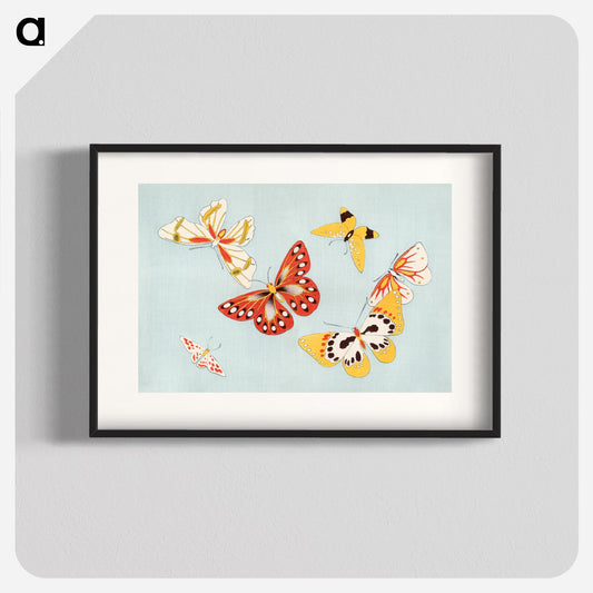 Japanese butterfly Poster.