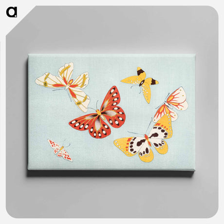 アートパネル-Japanese butterfly - 神坂 雪佳 Canvas.