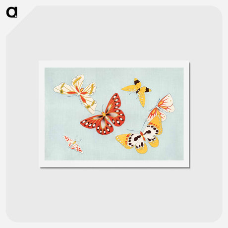 アートポストカード-Japanese butterfly - 神坂 雪佳 Postcard.