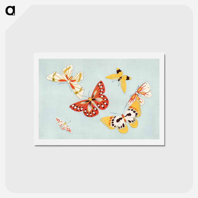 アートポストカード-Japanese butterfly - 神坂 雪佳 Postcard.