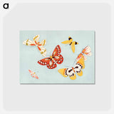 アートポストカード-Japanese butterfly - 神坂 雪佳 Postcard.
