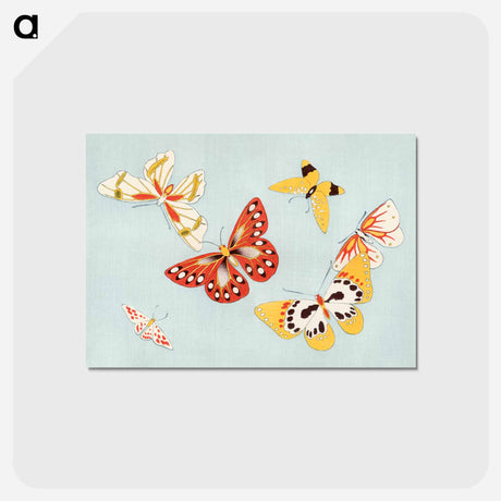 アートポストカード-Japanese butterfly - 神坂 雪佳 Postcard.