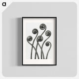 1-1_Karl-Blossfeldt_blk