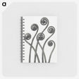 1-1_Karl-Blossfeldt_memo