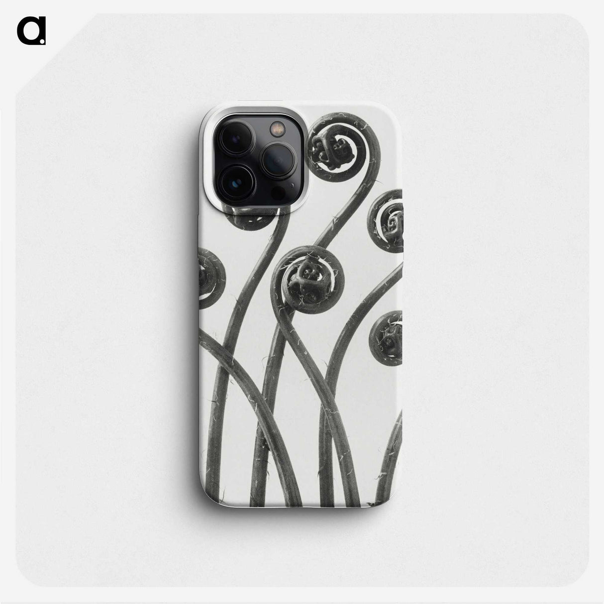 1-1_Karl-Blossfeldt_phone