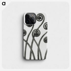 1-1_Karl-Blossfeldt_phone