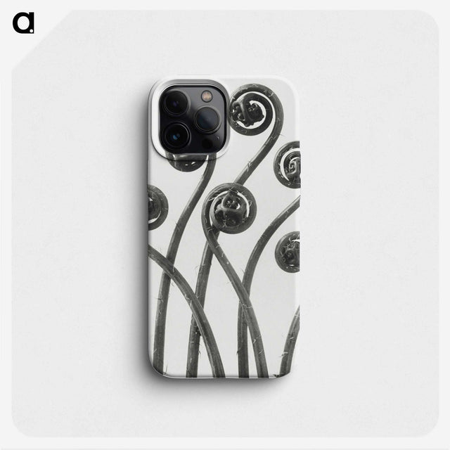 1-1_Karl-Blossfeldt_phone