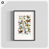 1-1_Le-Jardin-des-Plantes_blk