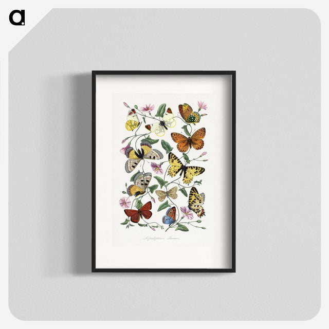 1-1_Le-Jardin-des-Plantes_blk