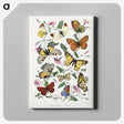 1-1_Le-Jardin-des-Plantes_canvas