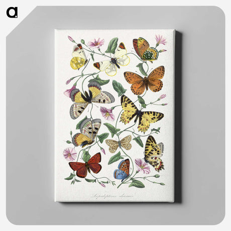 1-1_Le-Jardin-des-Plantes_canvas